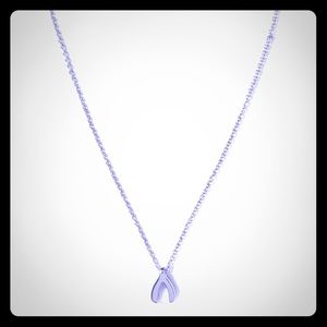 Banana Republic Wishbone Necklace